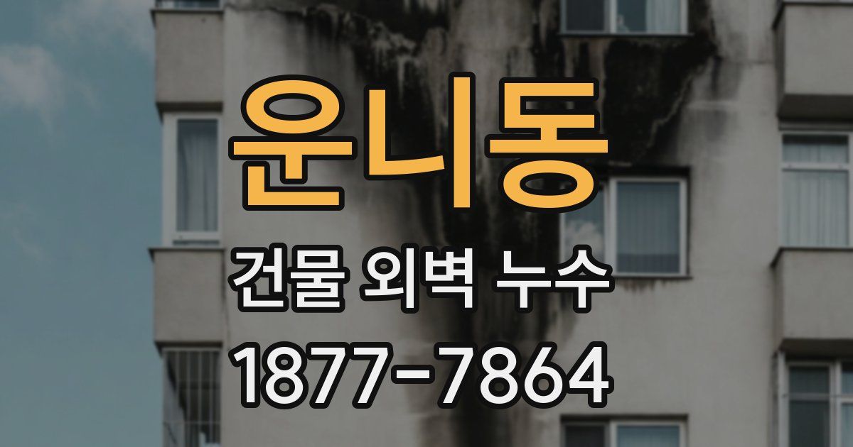 운니동 건물 외벽 누수