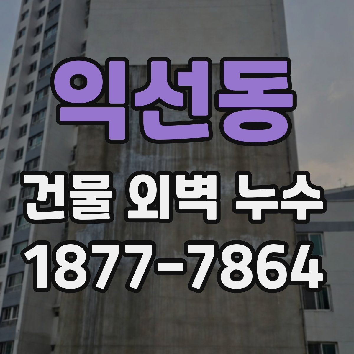 익선동 건물 외벽 누수 발생 구간별 수리 접근