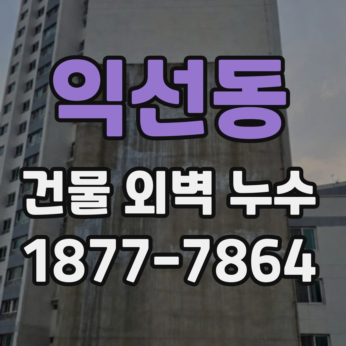 익선동 건물 외벽 누수
