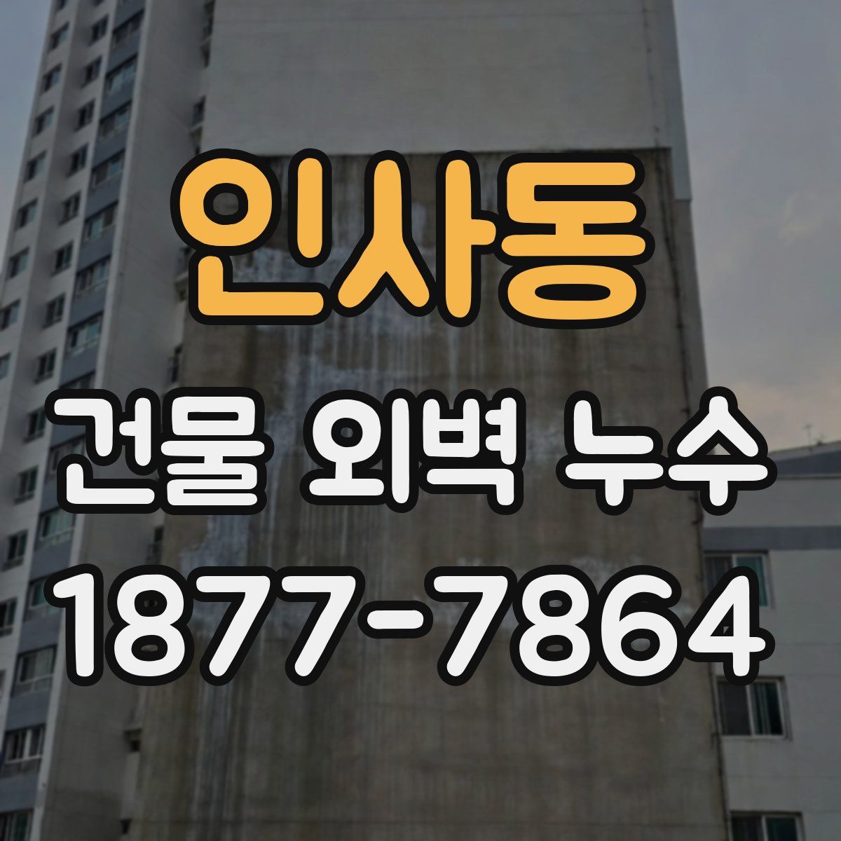 인사동 건물 외벽 누수