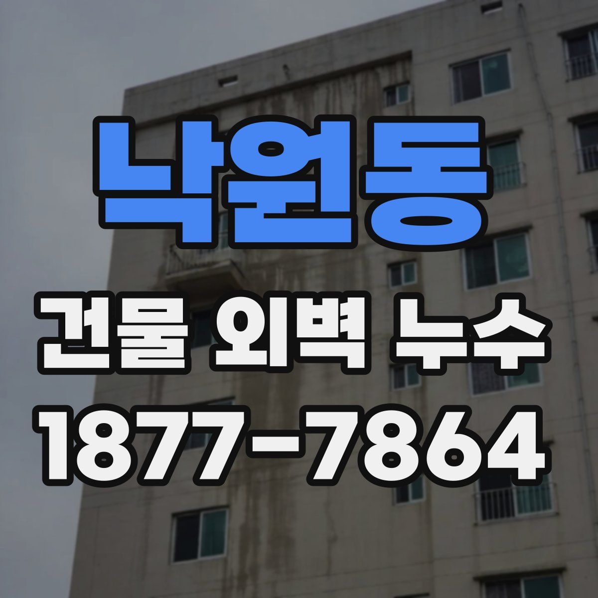 낙원동 건물 외벽 누수