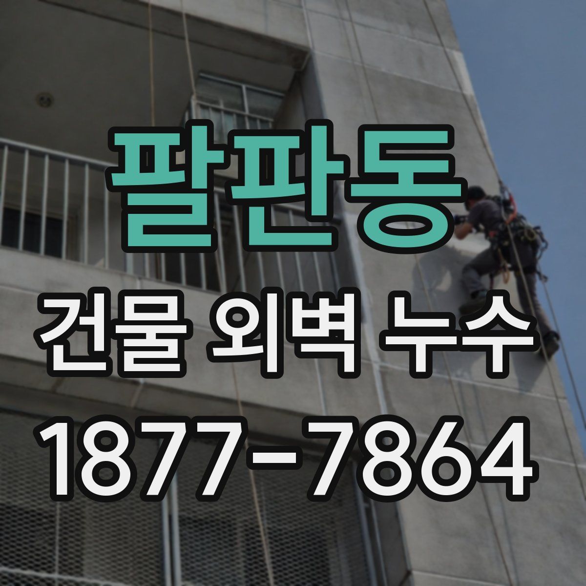 팔판동 건물 외벽 누수