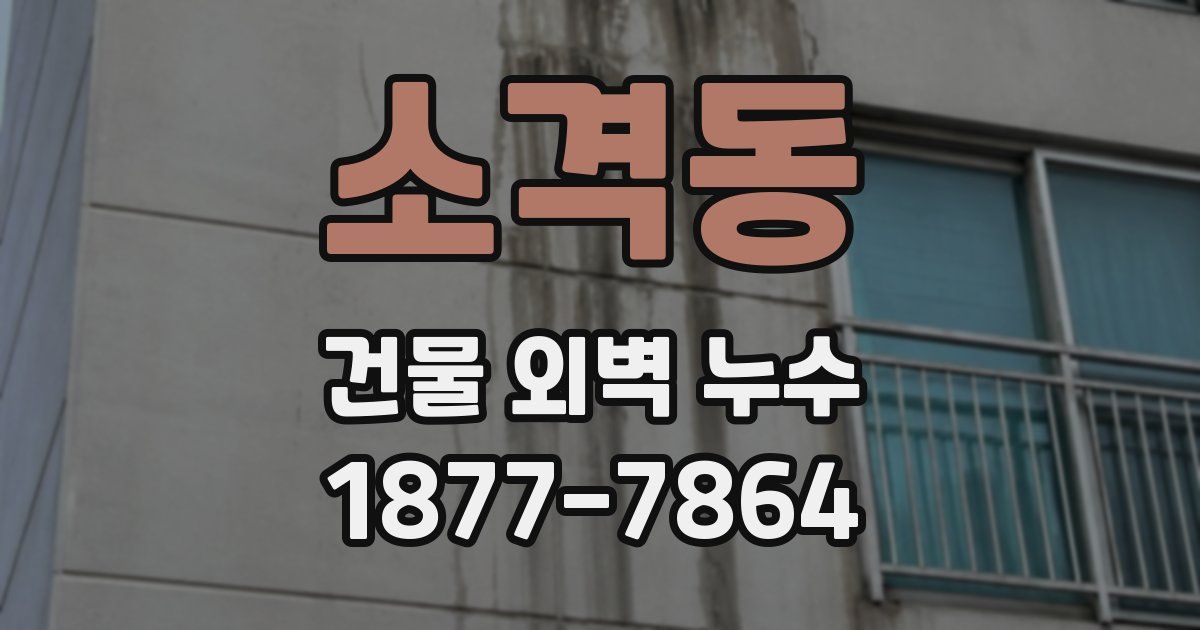 소격동 건물 외벽 누수