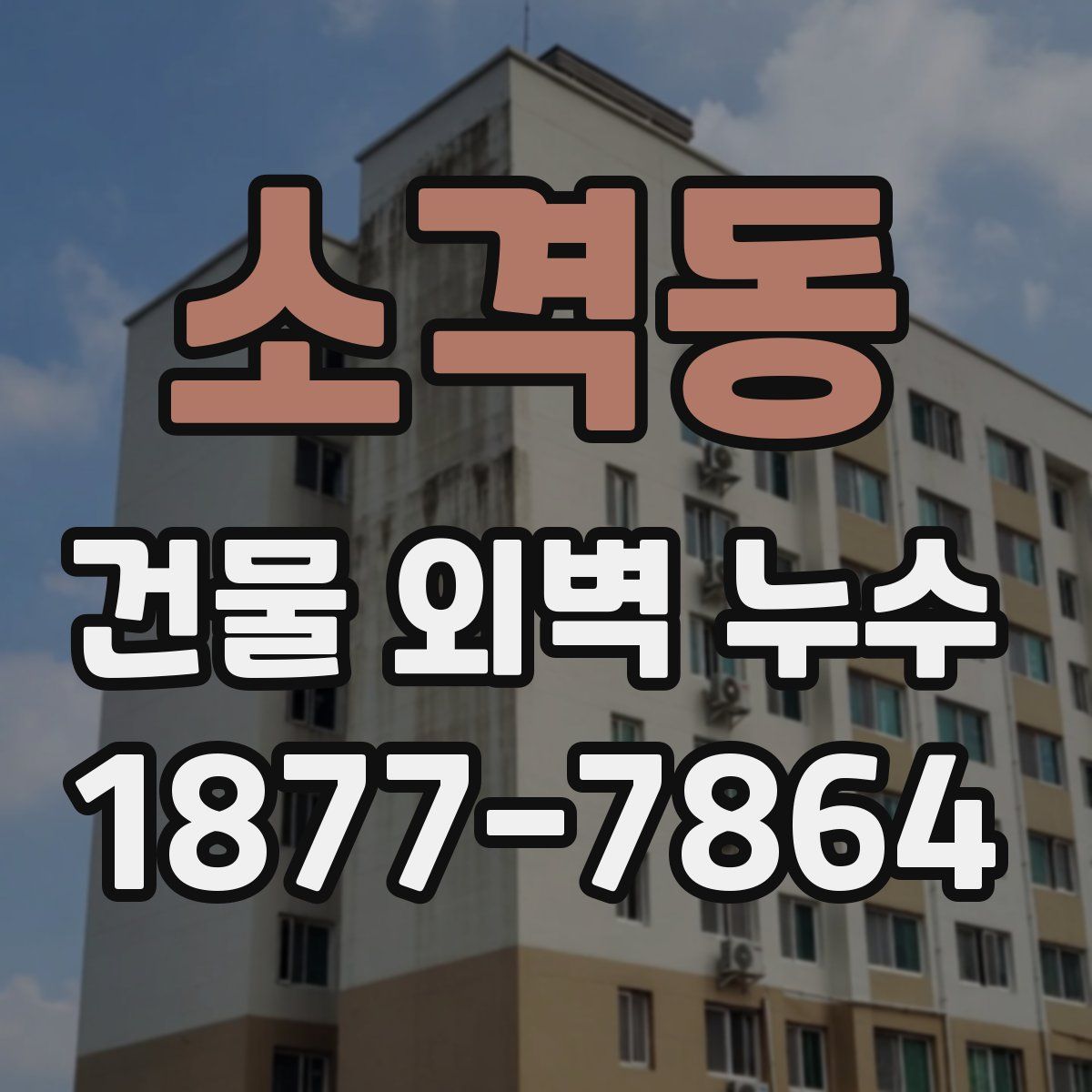 소격동 건물 외벽 누수