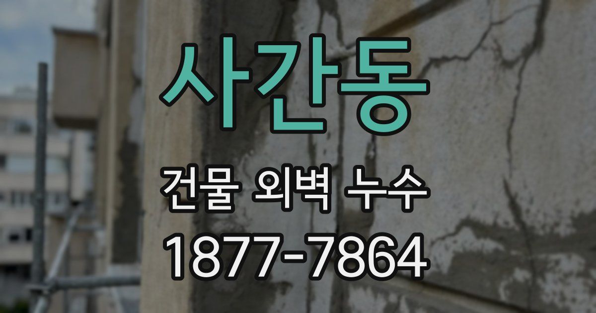 사간동 건물 외벽 누수