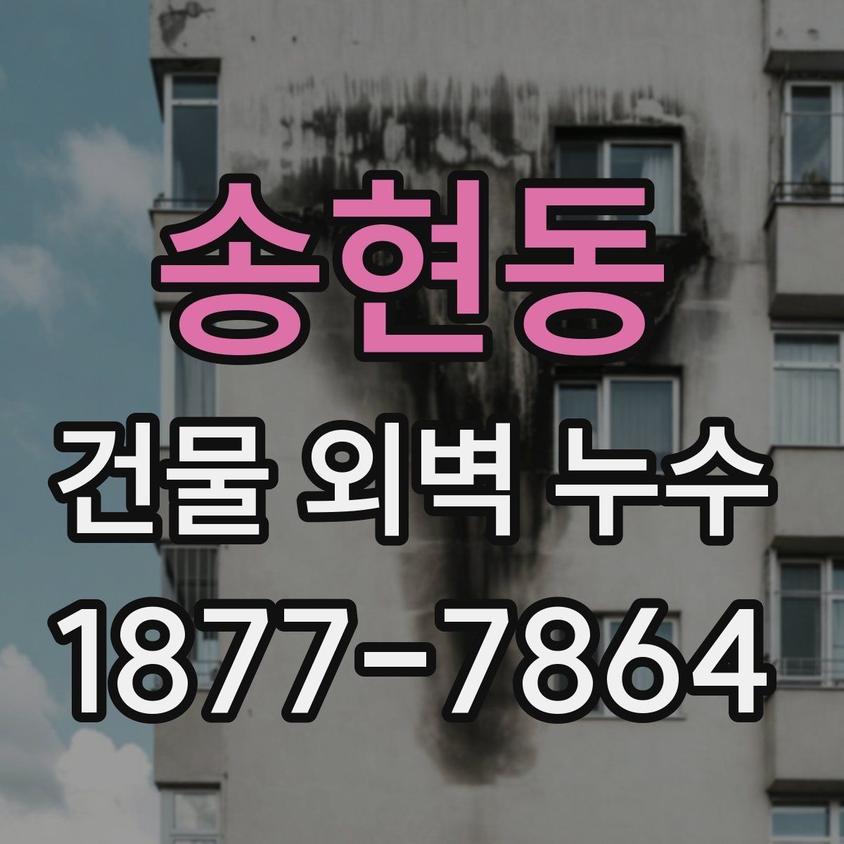 송현동 건물 외벽 누수 점검 후 결정해야 할 사항
