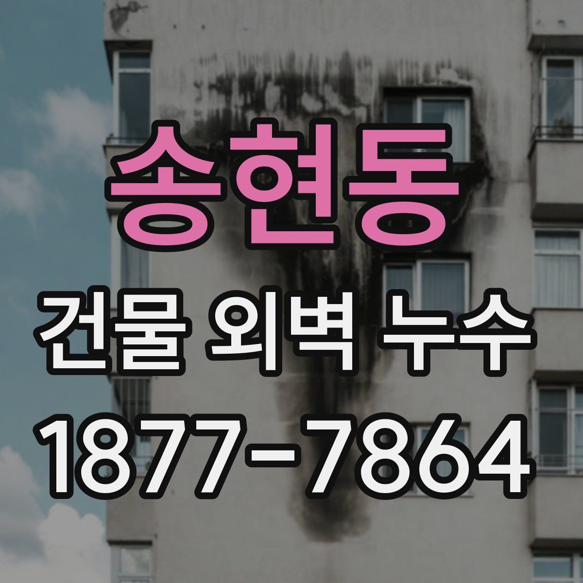 송현동 건물 외벽 누수