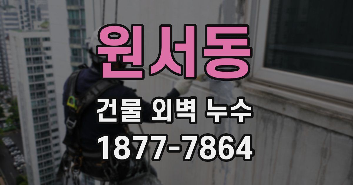 원서동 건물 외벽 누수