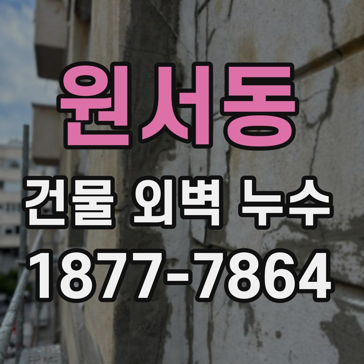 원서동 건물 외벽 누수