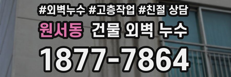 원서동 건물 외벽 누수