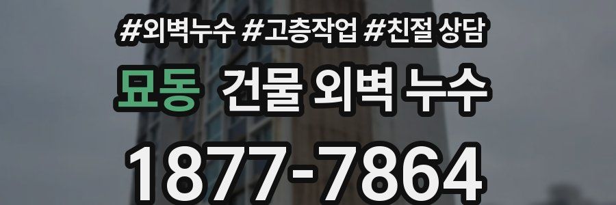 묘동 건물 외벽 누수