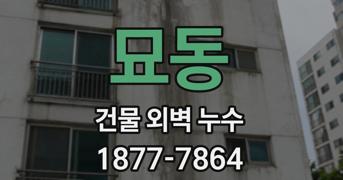 묘동 건물 외벽 누수