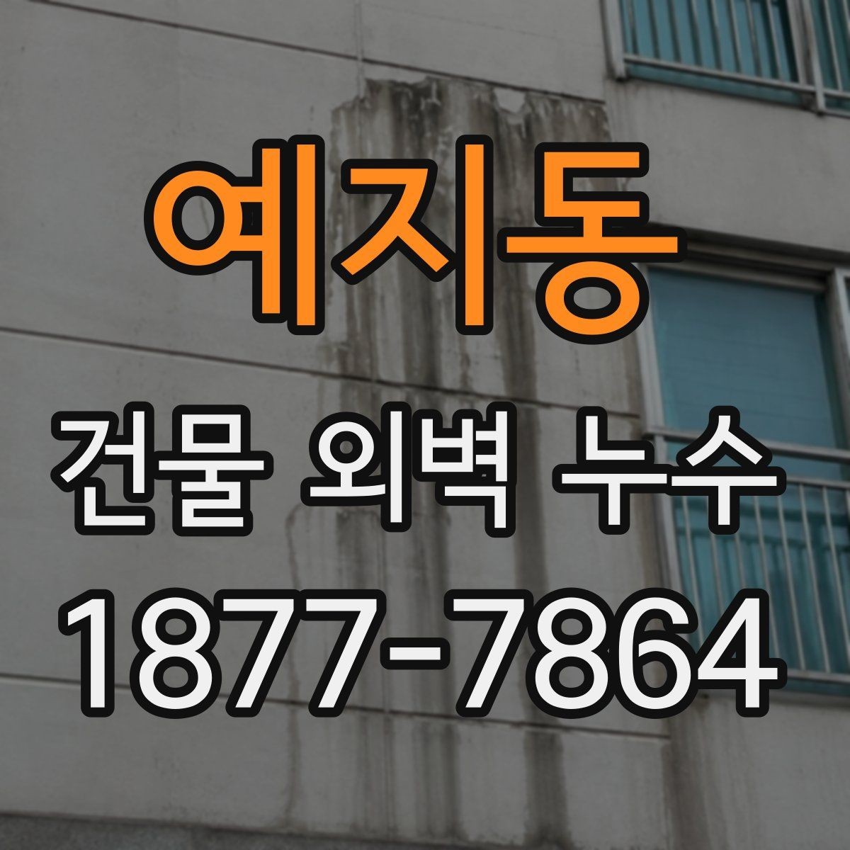 예지동 건물 외벽 누수 진단 후 진행되는 작업들