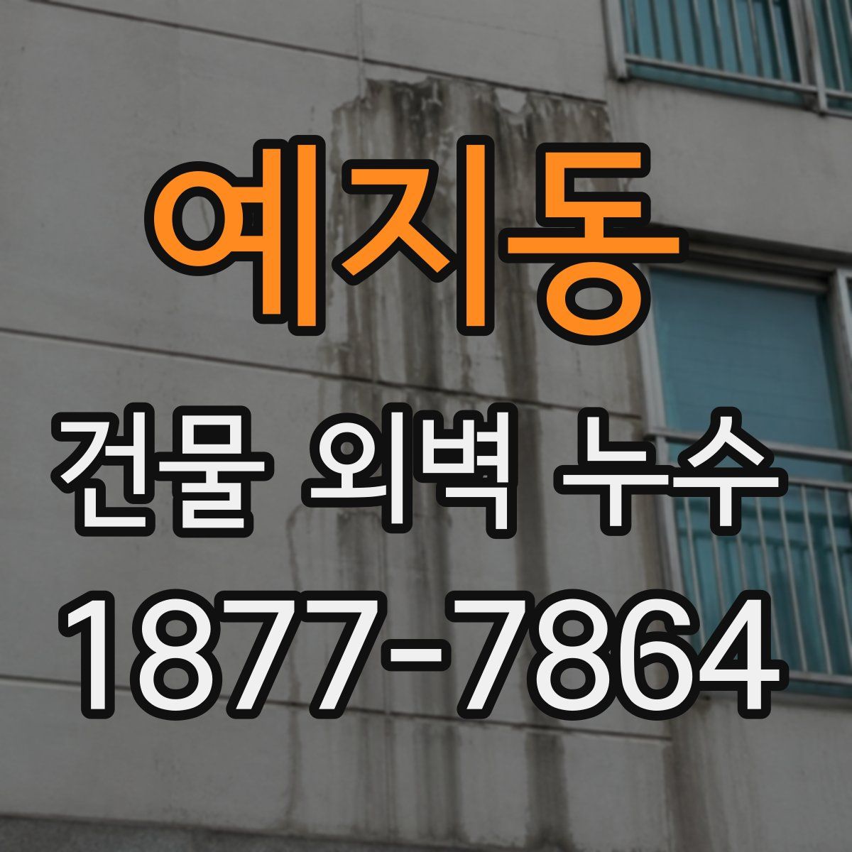 예지동 건물 외벽 누수