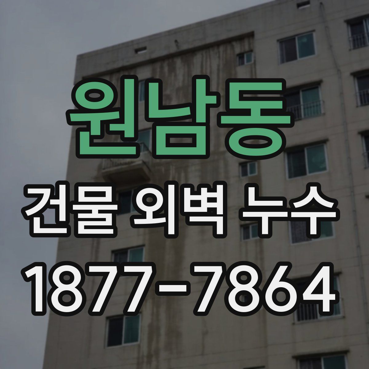원남동 건물 외벽 누수
