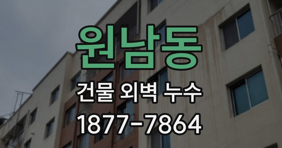 원남동 건물 외벽 누수