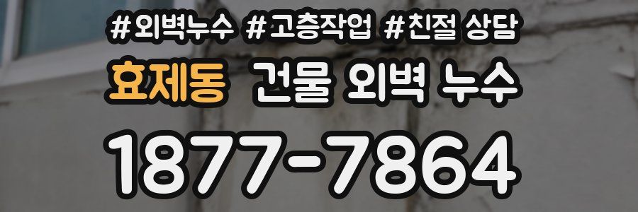 효제동 건물 외벽 누수