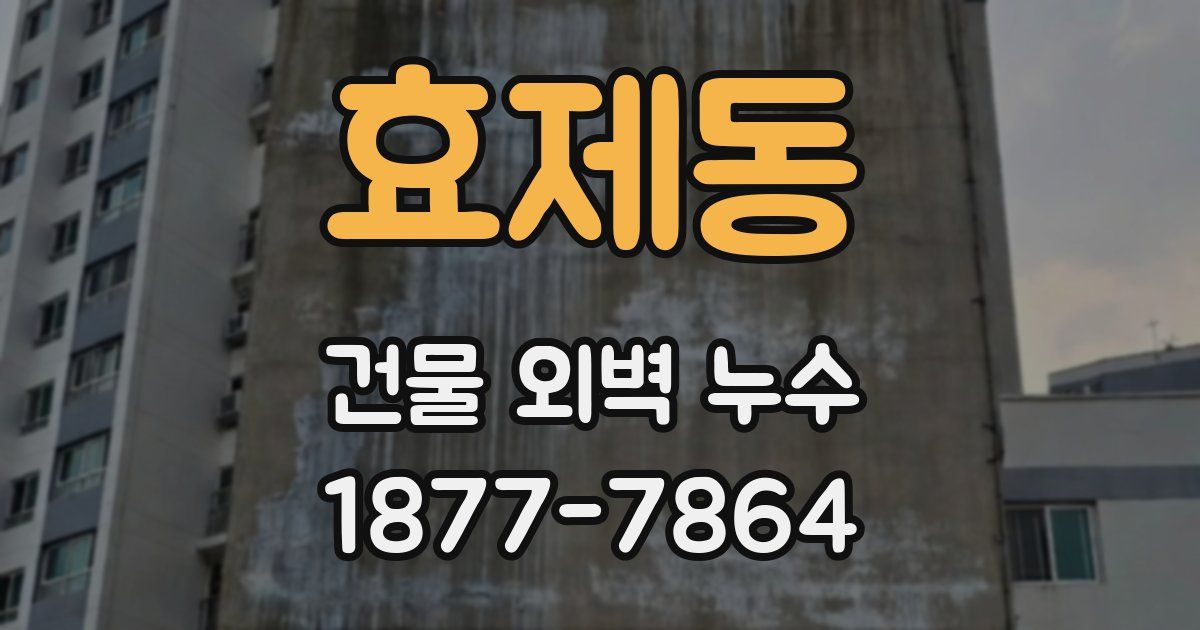 효제동 건물 외벽 누수