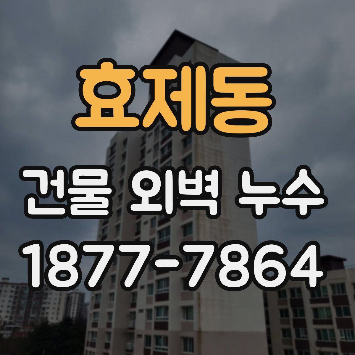 효제동 건물 외벽 누수