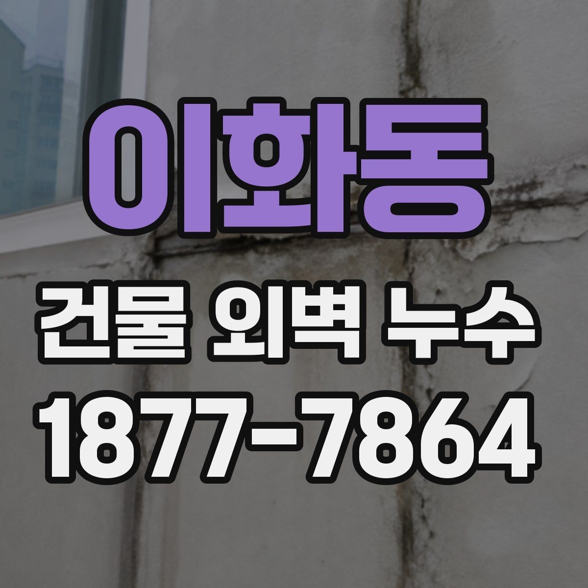 이화동 건물 외벽 누수 보수 전 현장 사진이 중요한 이유
