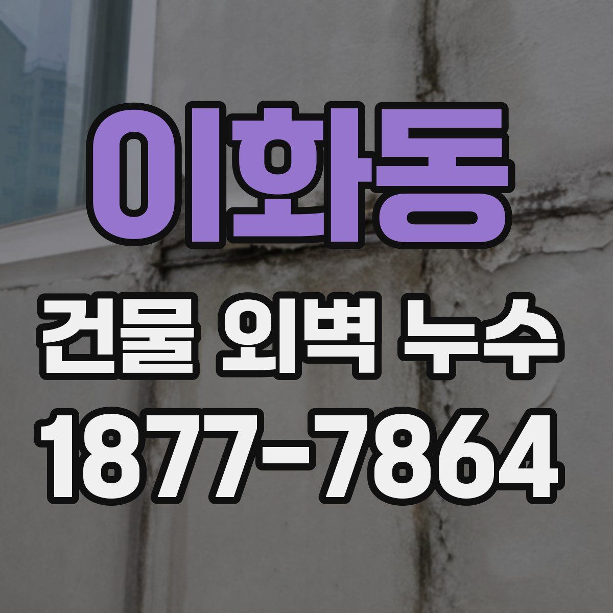 이화동 건물 외벽 누수