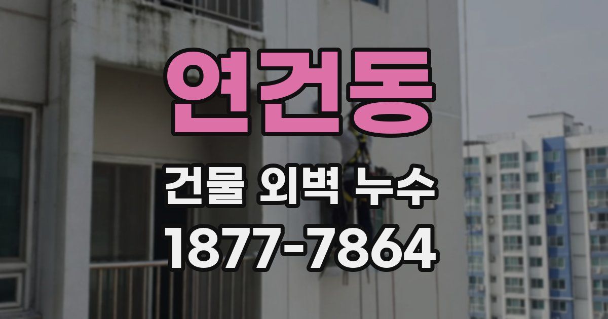 연건동 건물 외벽 누수