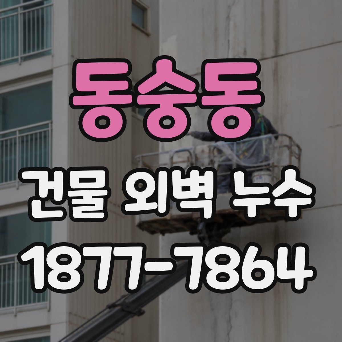 동숭동 건물 외벽 누수