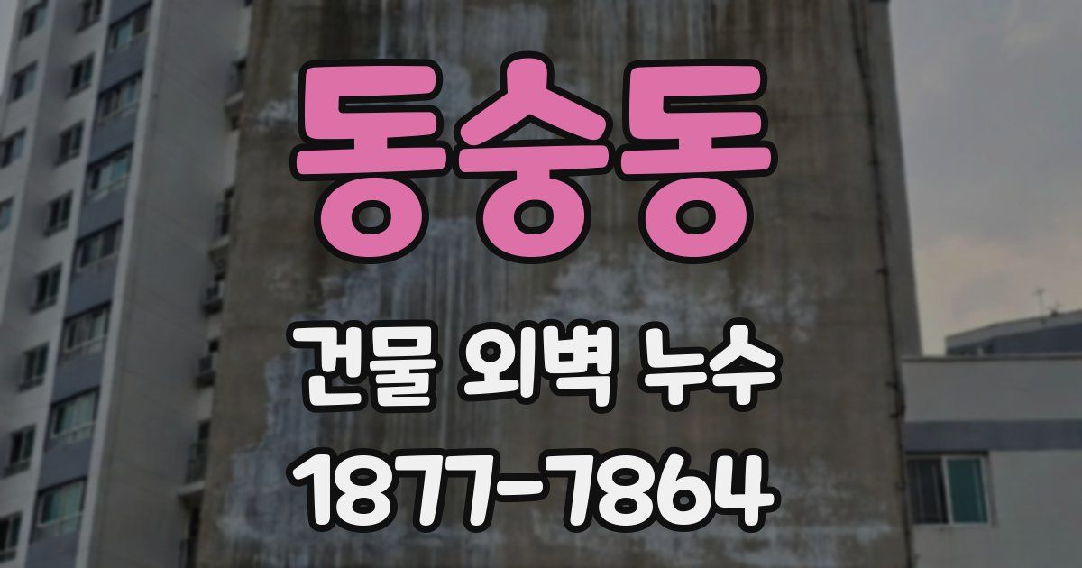 동숭동 건물 외벽 누수