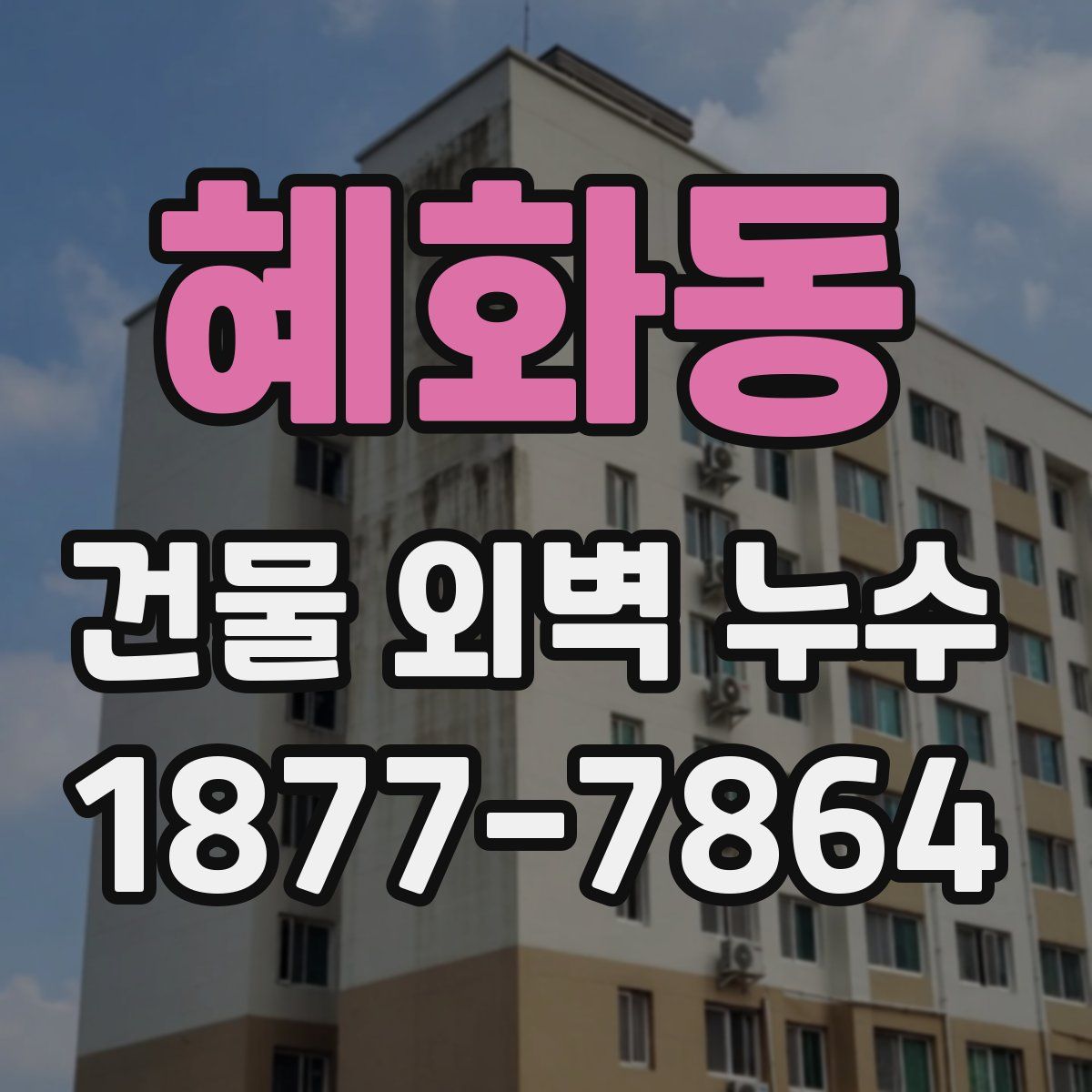 혜화동 건물 외벽 누수