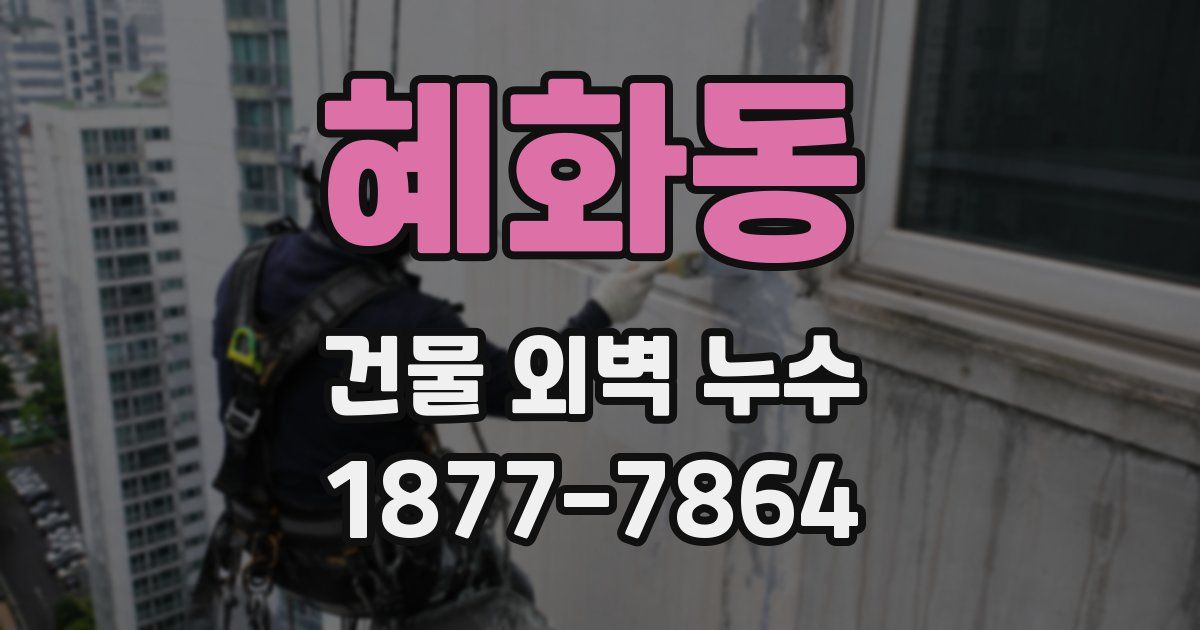 혜화동 건물 외벽 누수