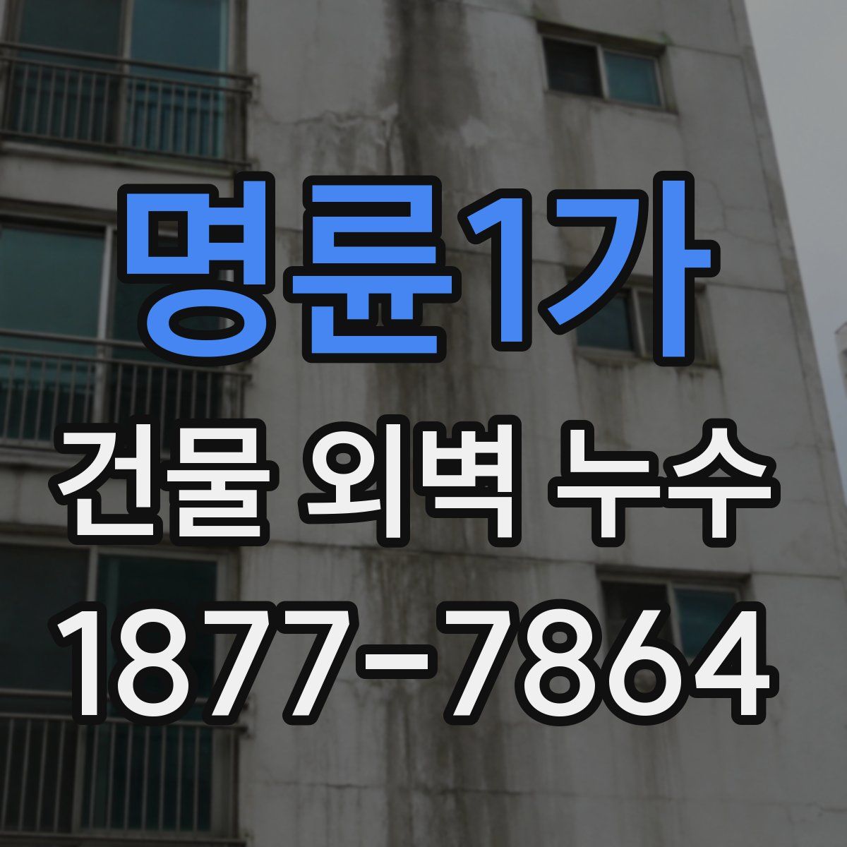 명륜1가 건물 외벽 누수