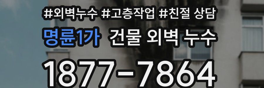 명륜1가 건물 외벽 누수