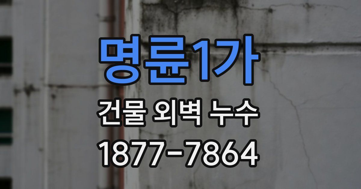 명륜1가 건물 외벽 누수