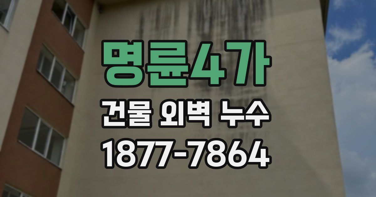 명륜4가 건물 외벽 누수
