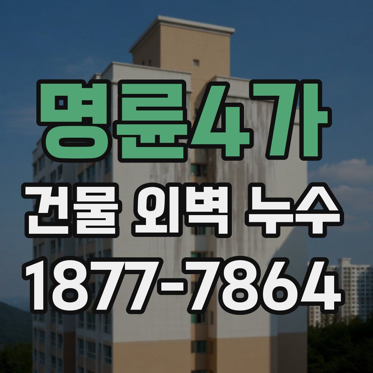 명륜4가 건물 외벽 누수