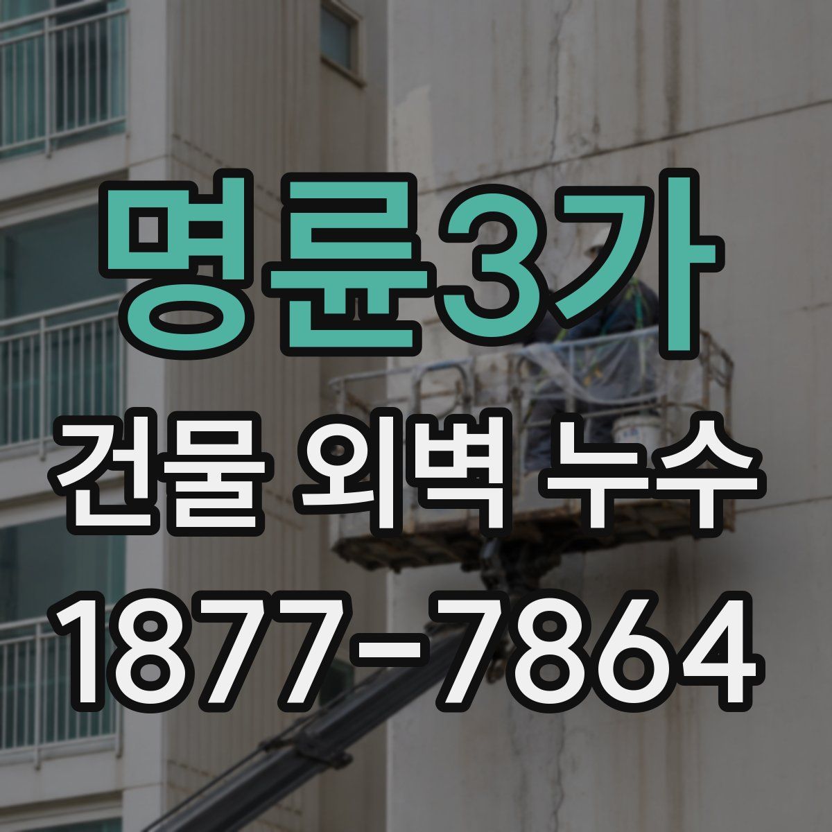 명륜3가 건물 외벽 누수