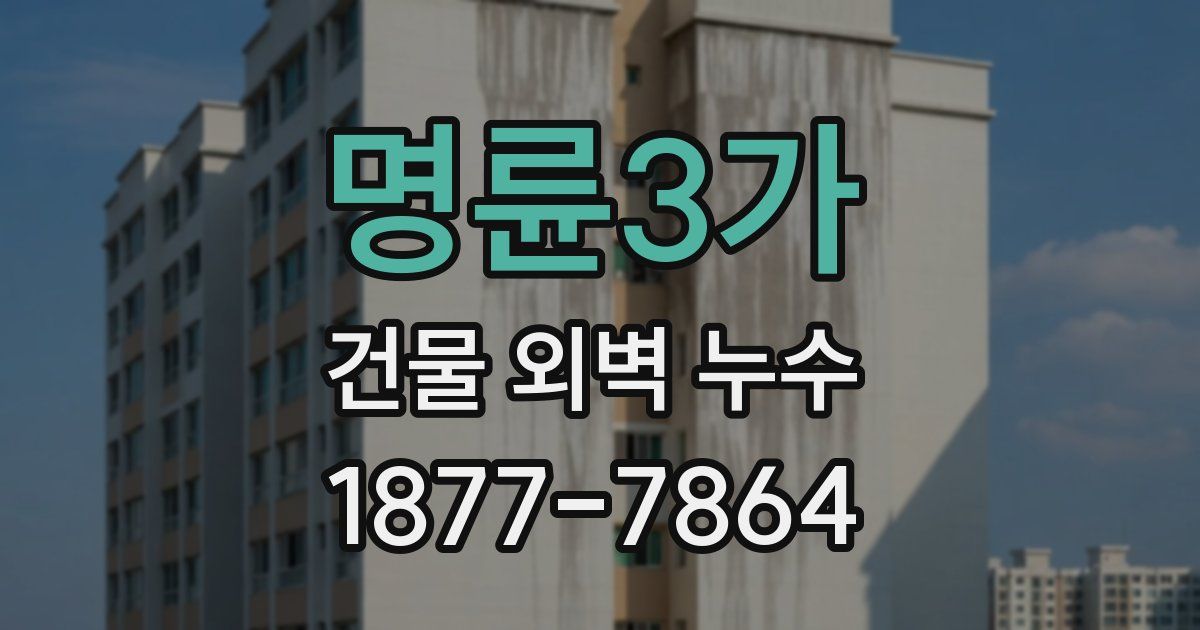 명륜3가 건물 외벽 누수
