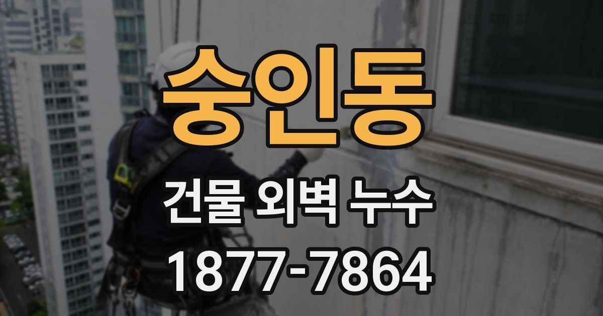 숭인동 건물 외벽 누수