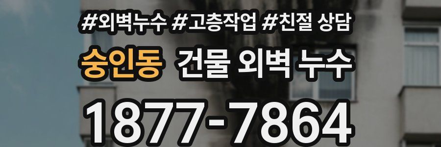 숭인동 건물 외벽 누수