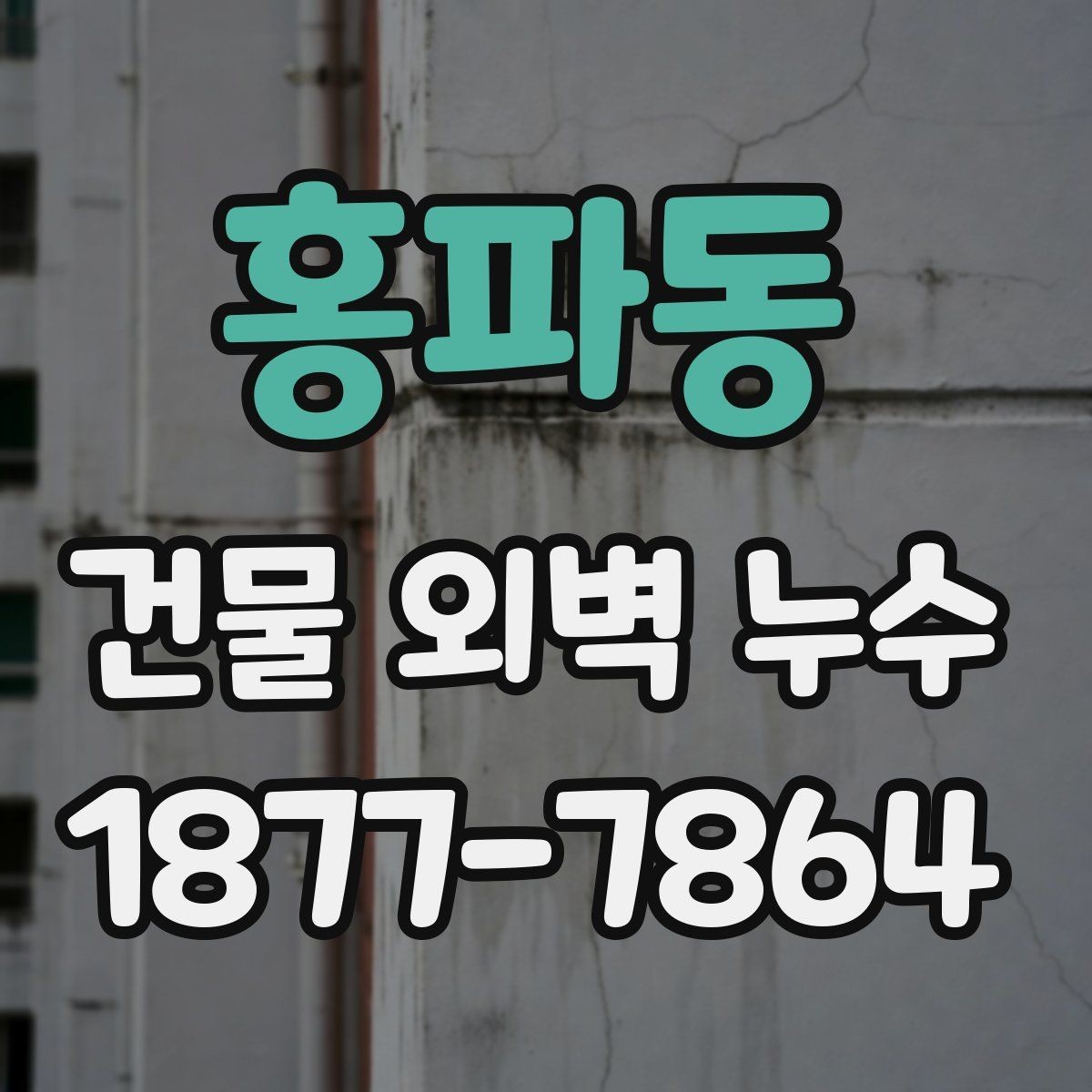 홍파동 건물 외벽 누수 해결을 위한 단계별 접근