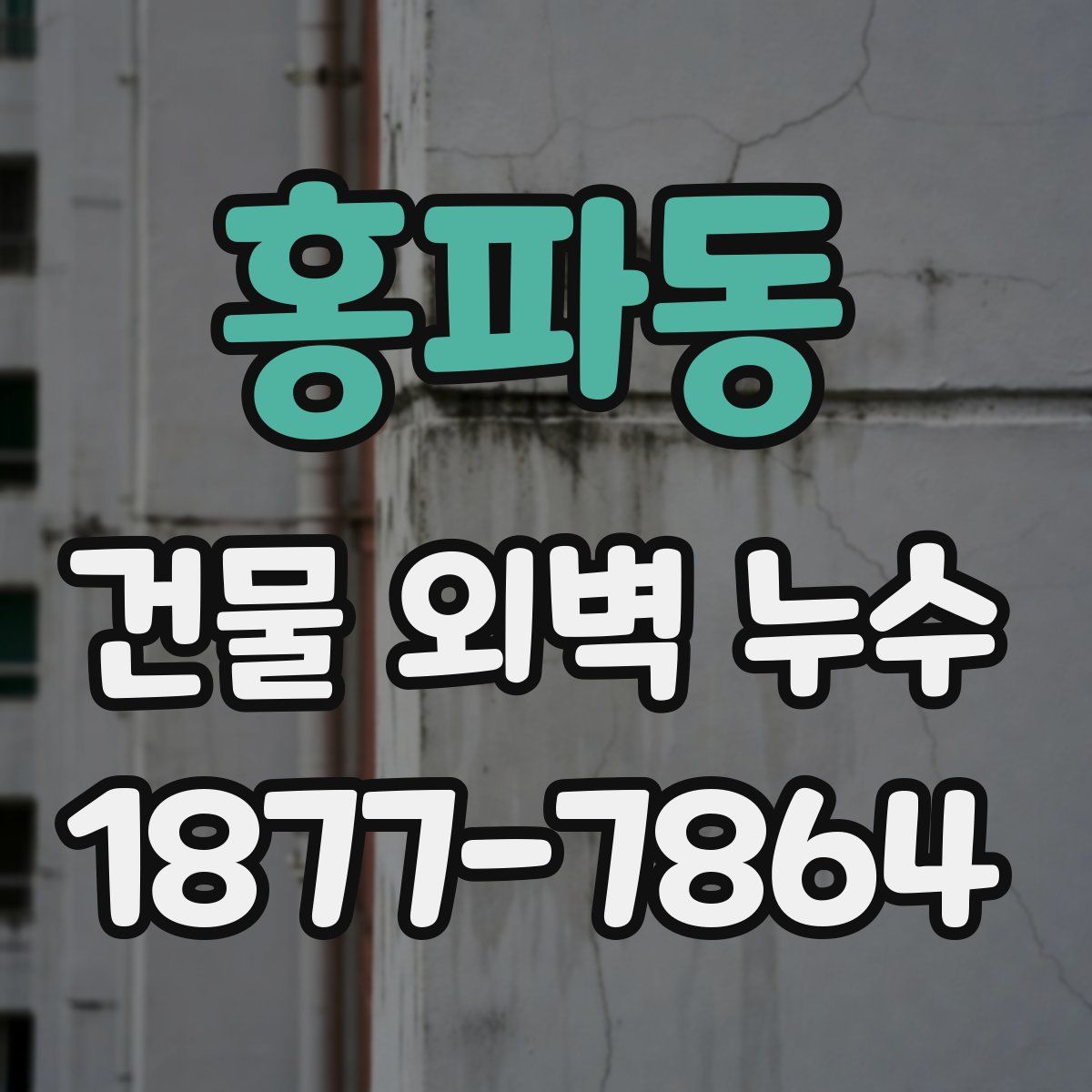 홍파동 건물 외벽 누수