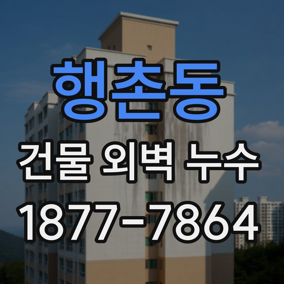 행촌동 건물 외벽 누수