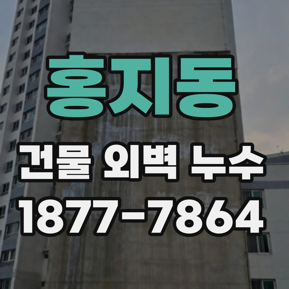 홍지동 건물 외벽 누수