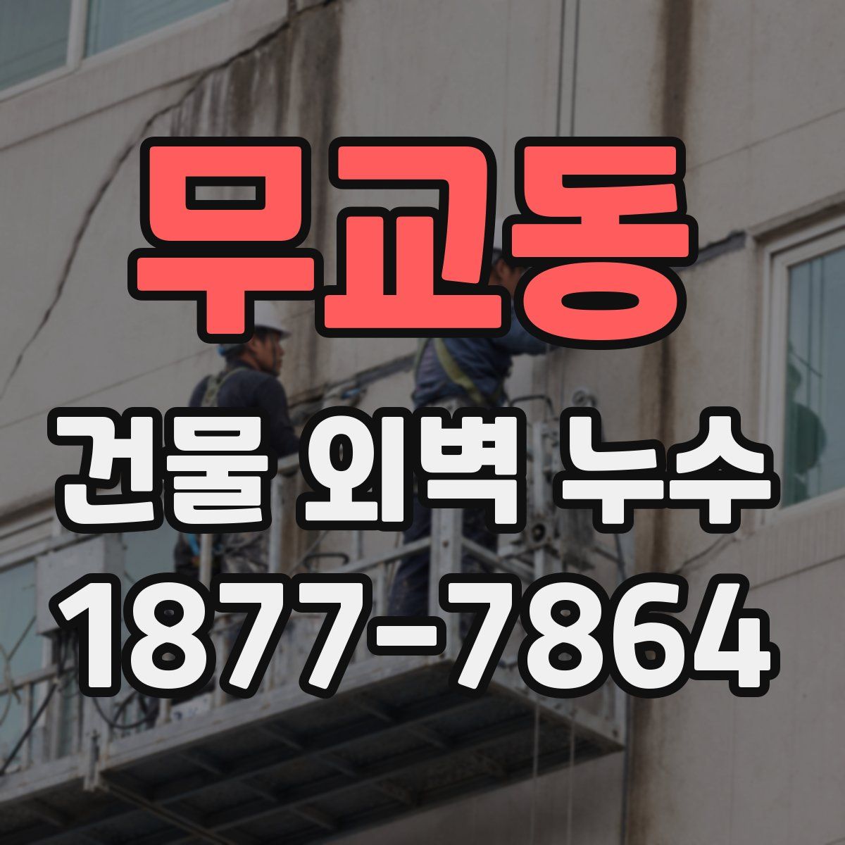 무교동 건물 외벽 누수