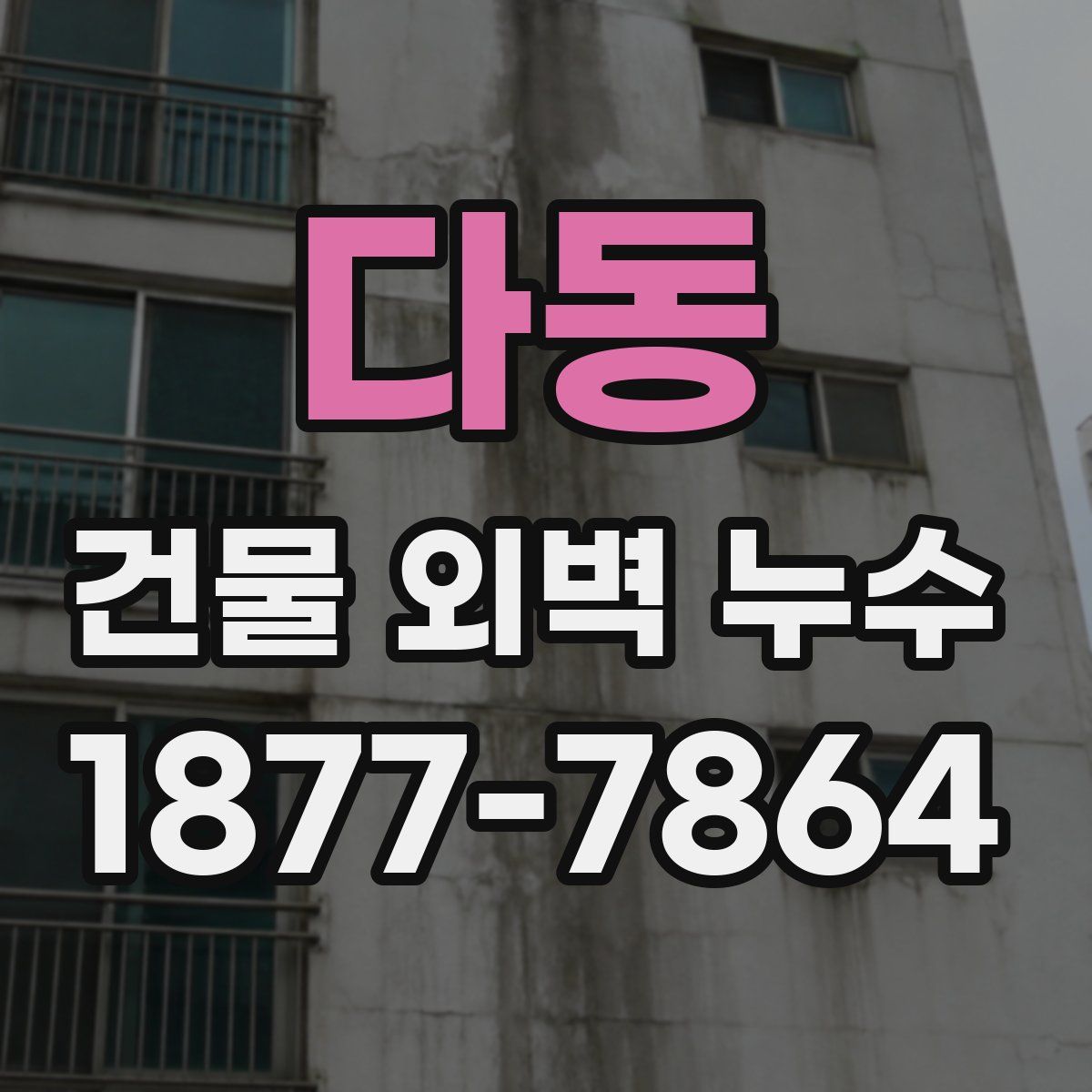 다동 건물 외벽 누수