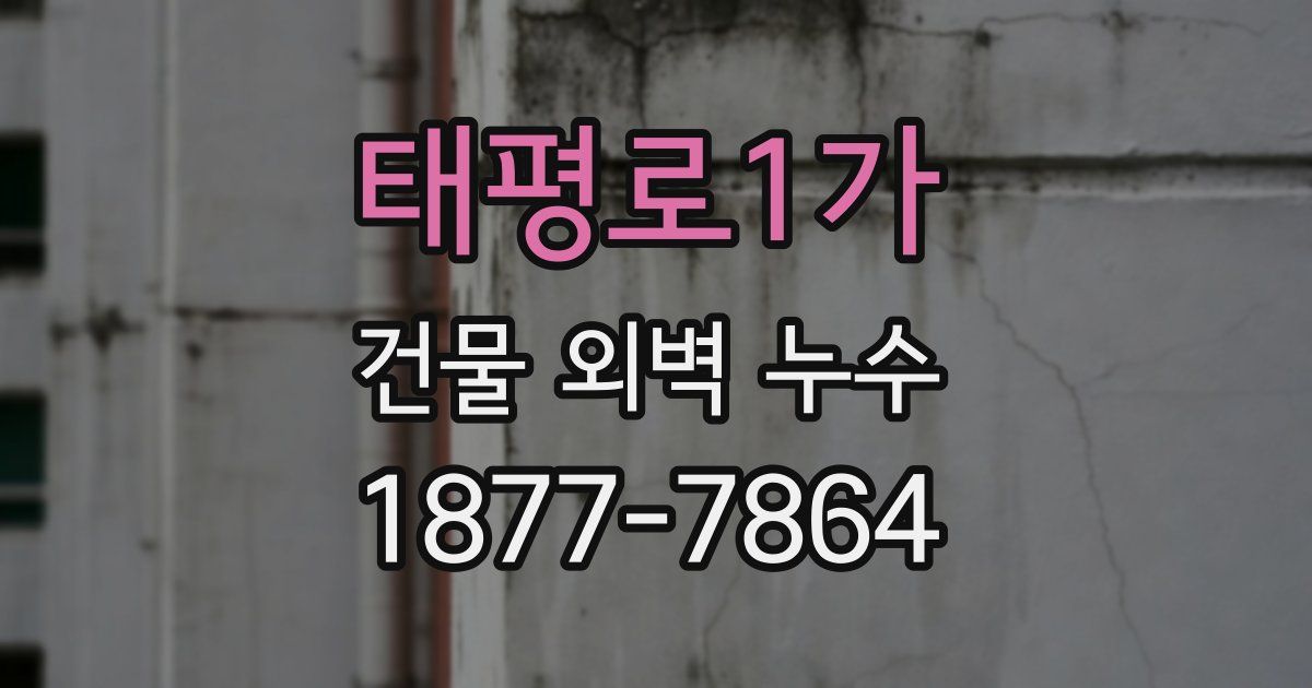 태평로1가 건물 외벽 누수