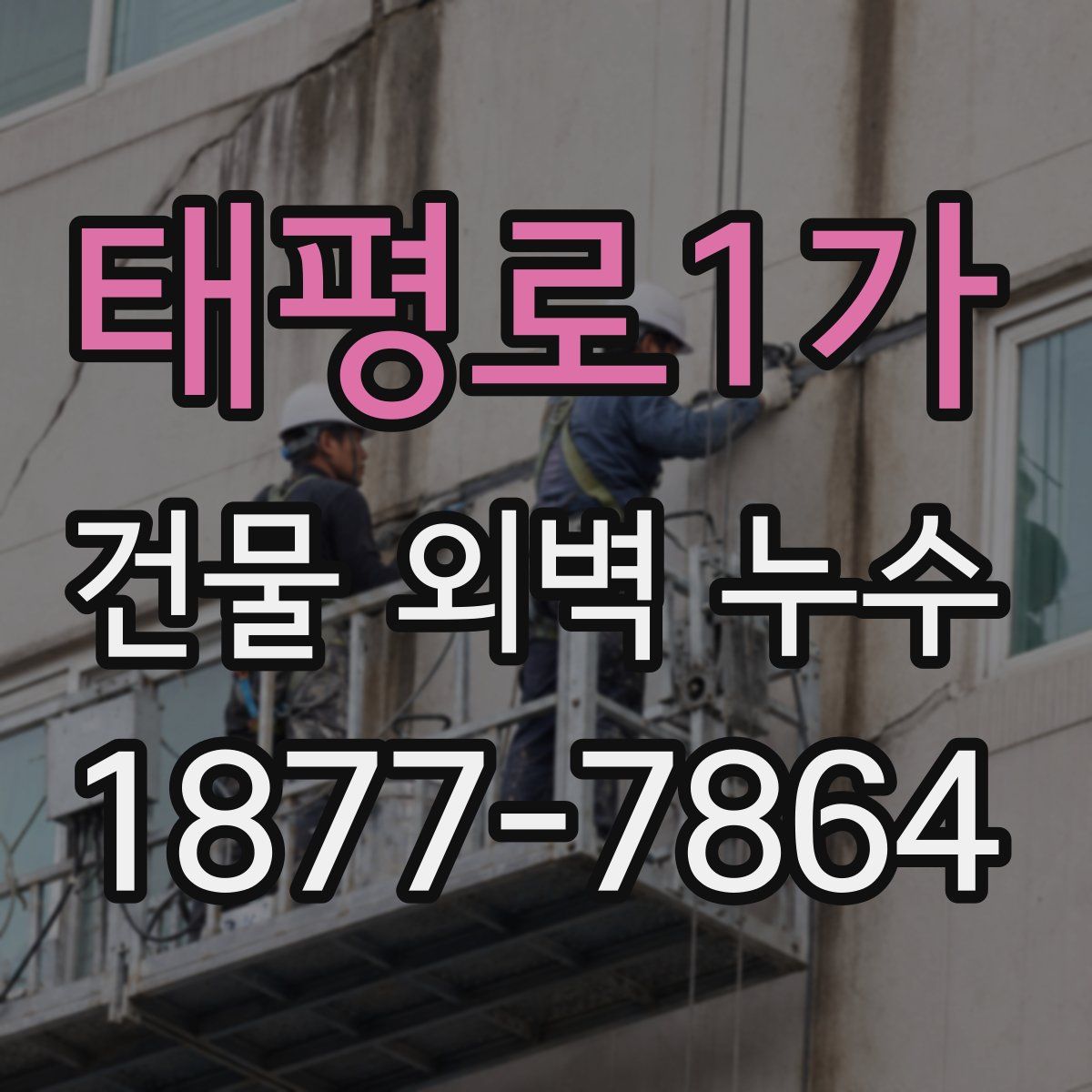 태평로1가 건물 외벽 누수
