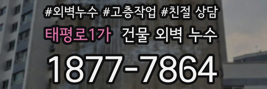 태평로1가 건물 외벽 누수