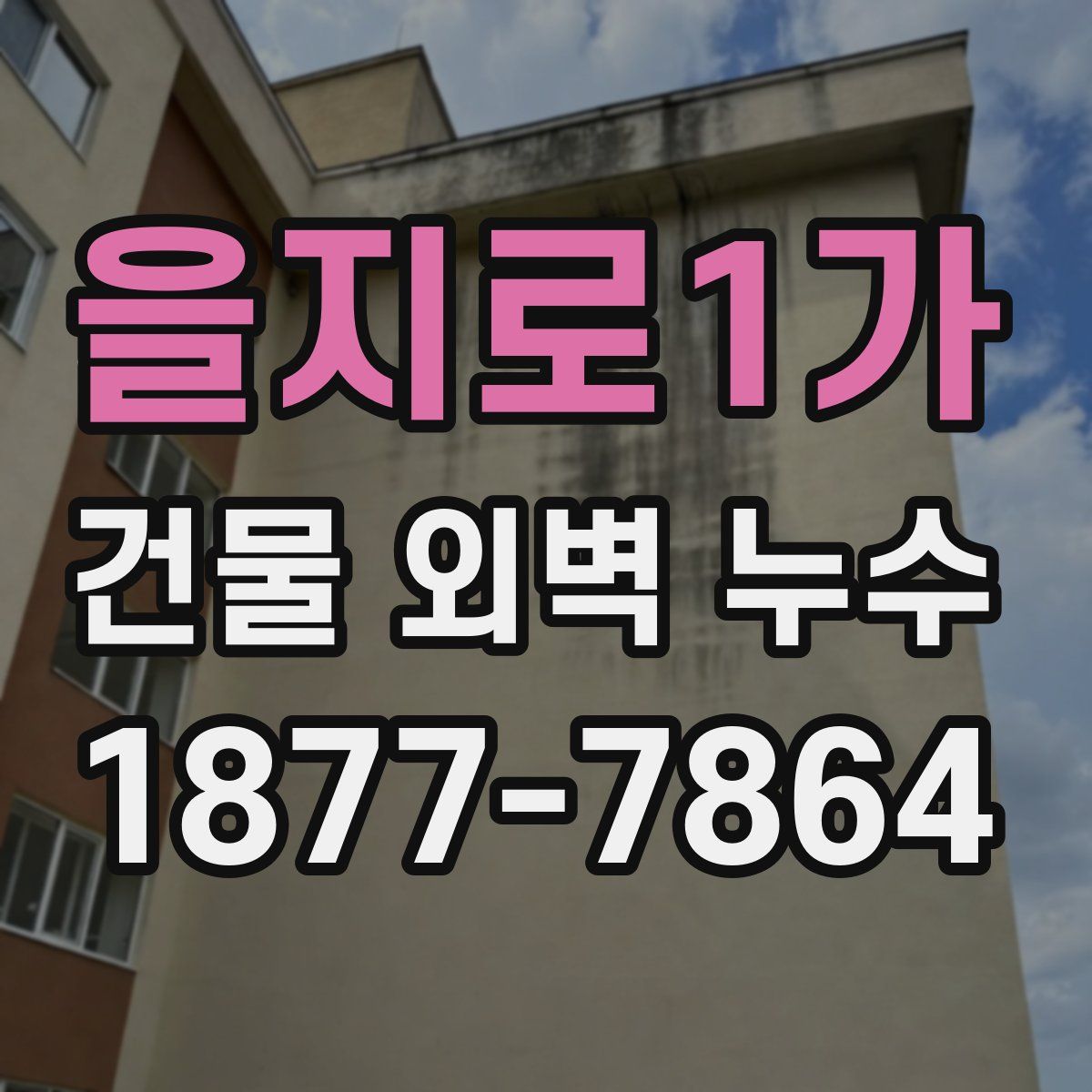 을지로1가 건물 외벽 누수