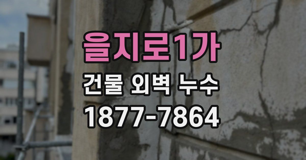 을지로1가 건물 외벽 누수